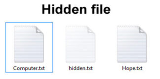 Come visualizzare file nascosti su Windows Come Visualizzare file nascosti su windows