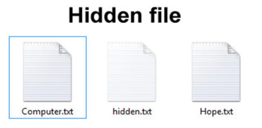 Come visualizzare file nascosti su Windows Come Visualizzare file nascosti su windows