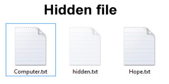 Come visualizzare file nascosti su Windows Come Visualizzare file nascosti su windows