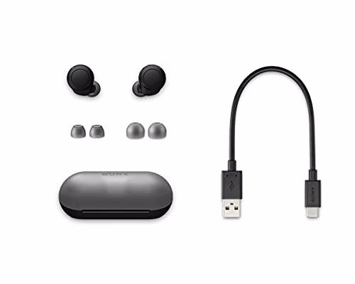 Sony WF-C500 Wireless, Bluetooth, Cuffie In-Ear (con classificazione IPX4 e durata della batteria fino a 20 ore) Nero