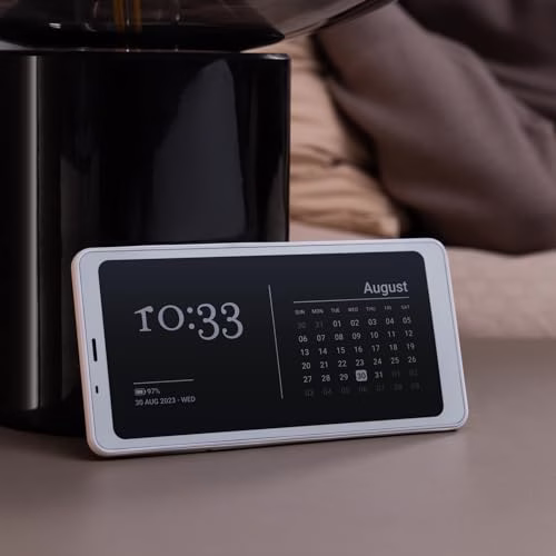 BOOX Palma 6.13" Mobile eCarta Reader 128 GB Android 11 Luce E-Ink Fotocamera (Bianco)